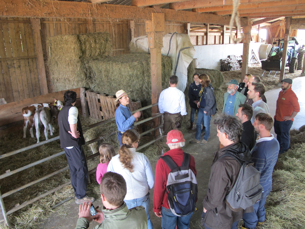 Landwirtschaft Archive - Schweisfurth Stiftung Fair zu Mensch und Tier
