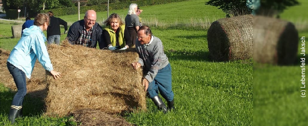 Schweisfurth Stiftung